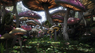 Illustration for article titled Alice Gallery